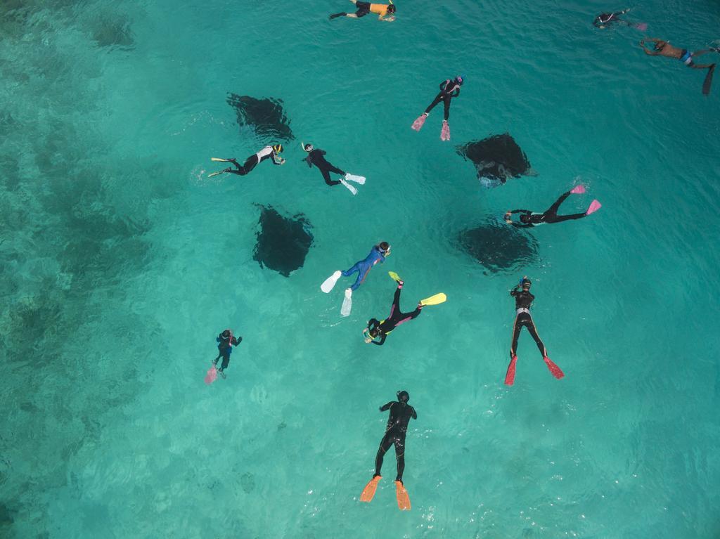 Royal Island Resort Maldives Dharavandhoo Zewnętrze zdjęcie Divers at the Great Barrier Reef