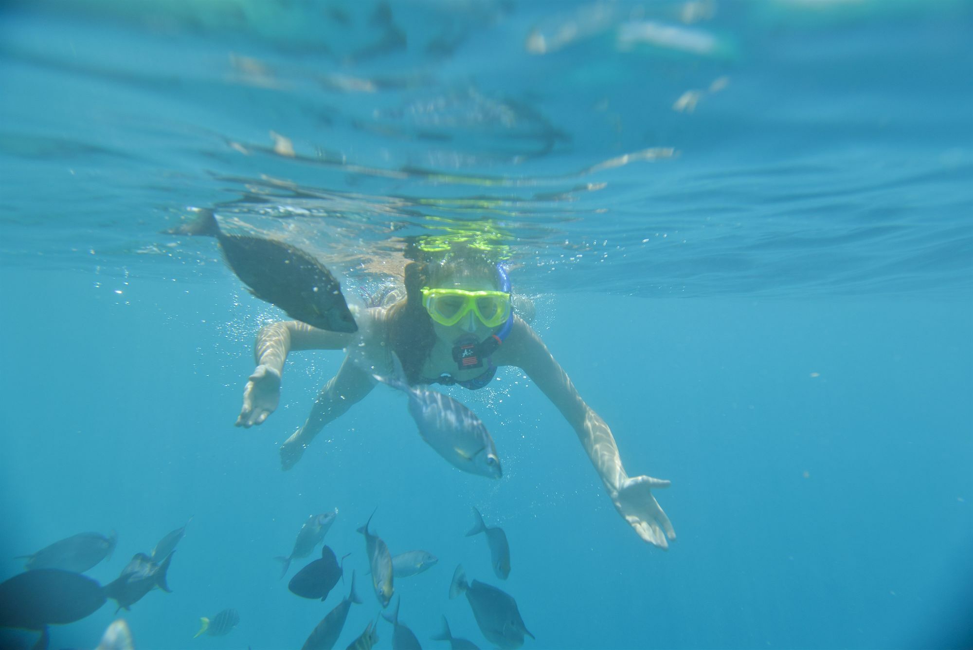 Royal Island Resort Maldives Dharavandhoo Zewnętrze zdjęcie Snorkeling in the Red Sea