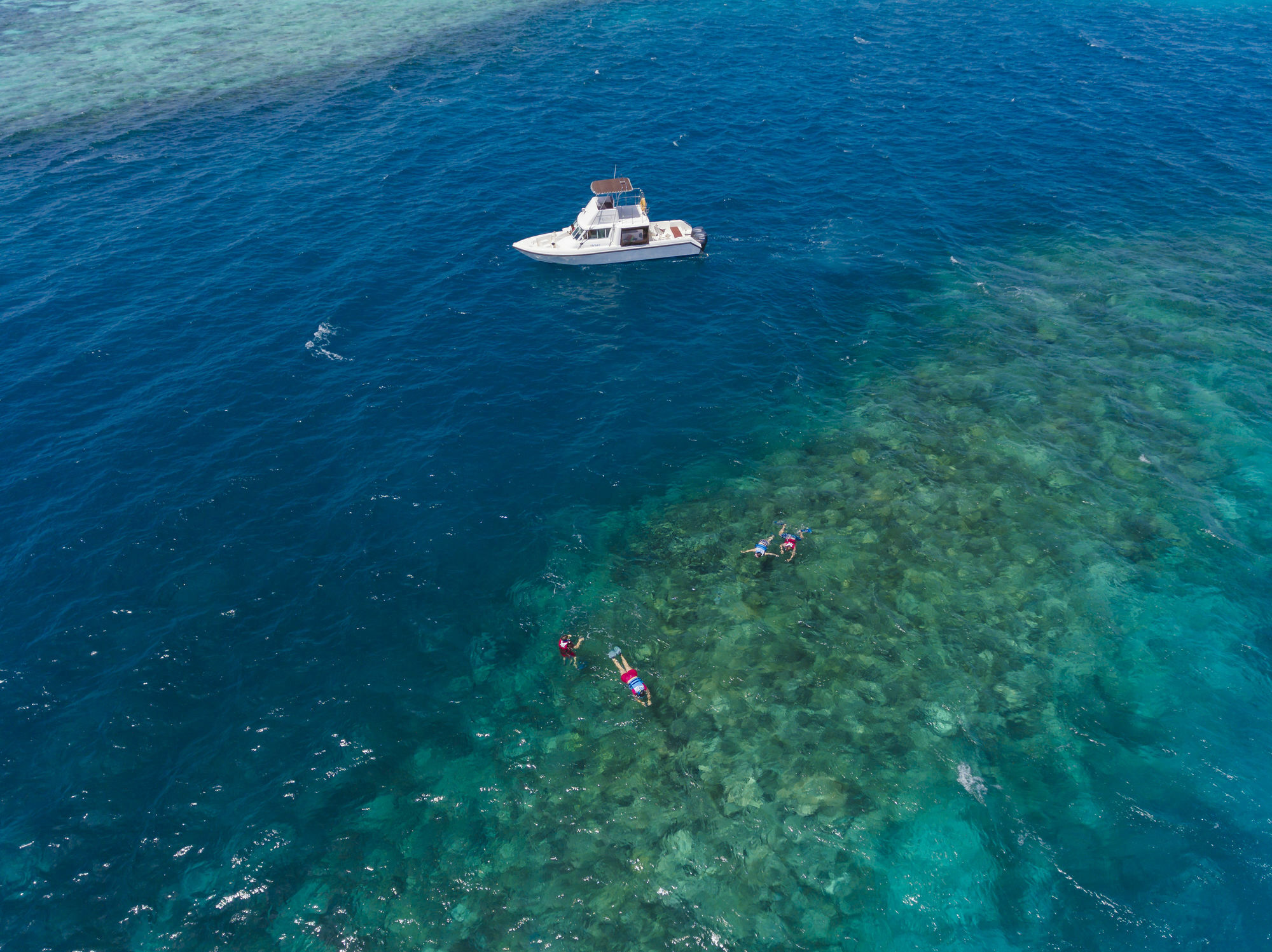 Royal Island Resort Maldives Dharavandhoo Zewnętrze zdjęcie Snorkeling in the Red Sea